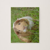 Guinea Pig Puzzle (Vertikal)