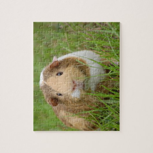 Guinea Pig Puzzle (Vertikal)