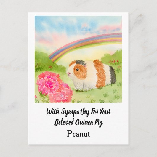 Guinea Pig Rainbow Sympathy with Carnations Name Postkarte (Vorderseite)