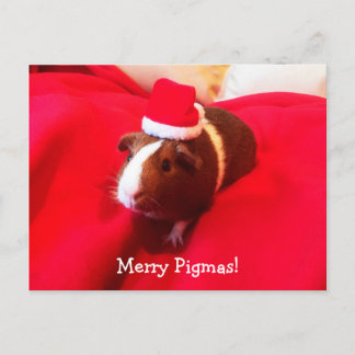 Guinea Pig Santa Claus Weihnachtsfeiertag Feiertagspostkarte