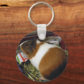 Guinea Pig Schlüsselanhänger (Vorderseite)