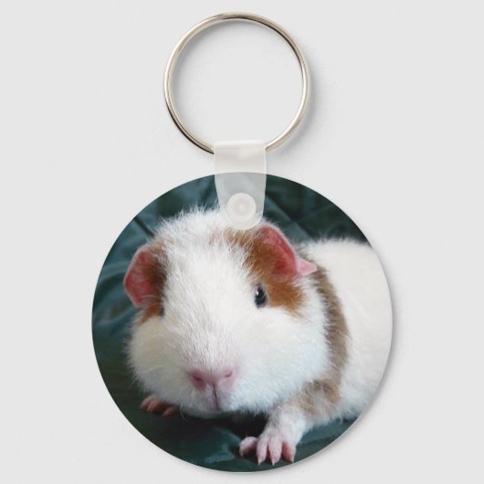 Guinea Pig Schlüsselanhänger (Vorderseite)