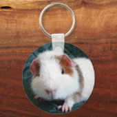 Guinea Pig Schlüsselanhänger (Vorderseite)