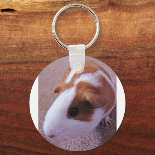 Guinea Pig Schlüsselanhänger (Vorderseite)