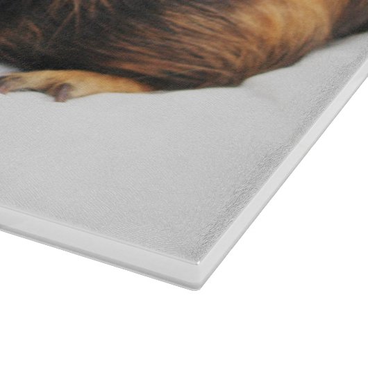 Guinea Pig Schneidebrett (Ecke)