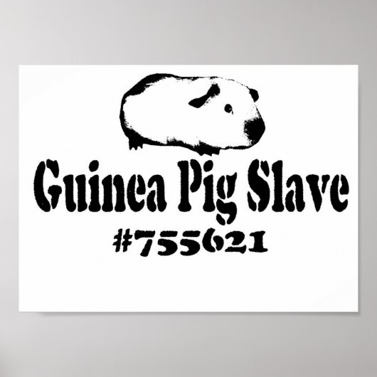 Guinea Pig Slave Poster (Vorne)