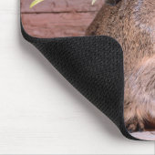 Guinea Pig Sweetheart Mousepad (Ecke)