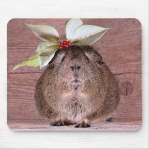 Guinea Pig Sweetheart Mousepad