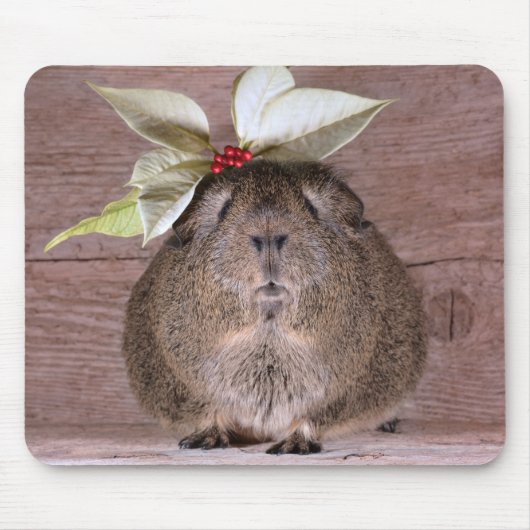 Guinea Pig Sweetheart Mousepad (Vorne)