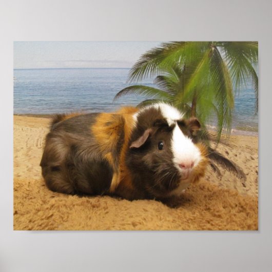 Guinea Pig unter Palmbaumplakat Poster (Vorne)