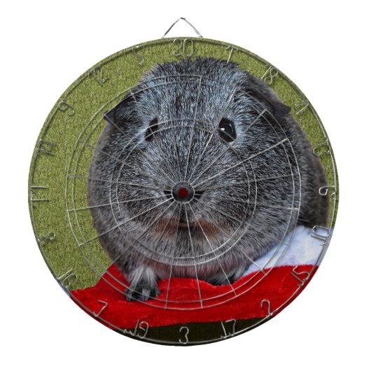Guinea Pig Weihnachten Dartscheibe (vorne)