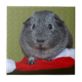 Guinea Pig Weihnachten Fliese (Vorderseite)