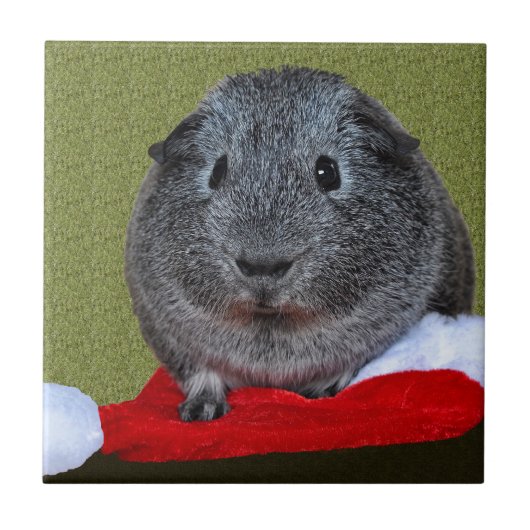 Guinea Pig Weihnachten Fliese (Vorderseite)