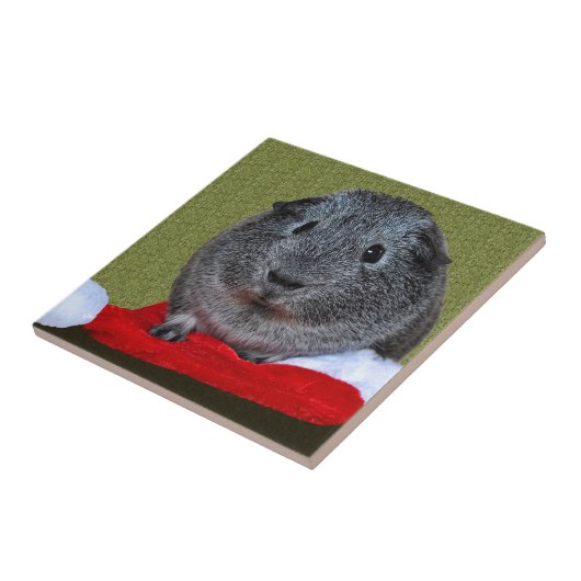 Guinea Pig Weihnachten Fliese (Seite)