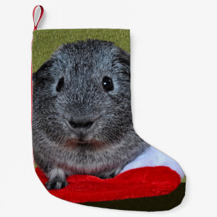 Guinea Pig Weihnachten Kleiner Weihnachtsstrumpf