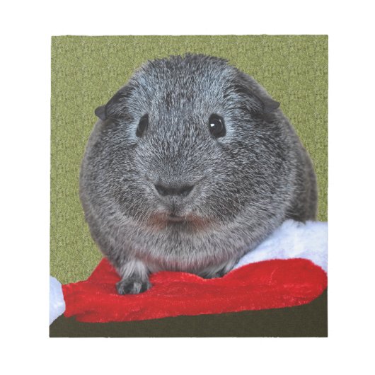 Guinea Pig Weihnachten Notizblock (Vorderseite)