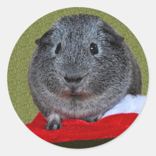 Guinea Pig Weihnachten Runder Aufkleber