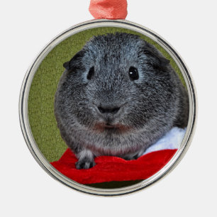 Guinea Pig Weihnachten Silbernes Ornament