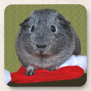 Guinea Pig Weihnachten Untersetzer