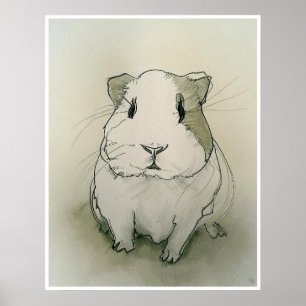 Guinea Pig Zeichnend - Kunstdruck Poster