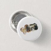 guinea pigs button (Vorne & Hinten)