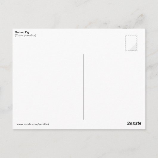 Guinea Pigs in the Flower Bed Postkarte (Rückseite)