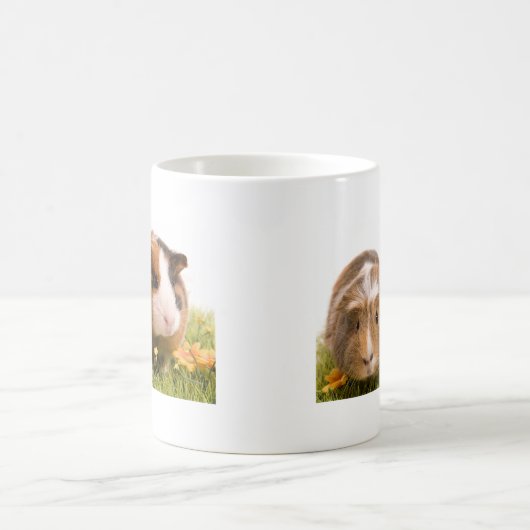 Guinea Pigs Kaffeetasse (Mittel)