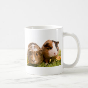 Guinea Pigs Kaffeetasse