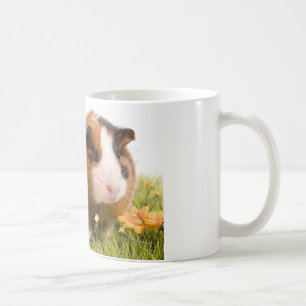 Guinea Pigs Kaffeetasse