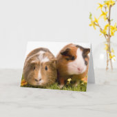 Guinea Pigs Karte (Gelbe Blume)