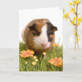 Guinea Pigs Karte (Gelbe Blume)