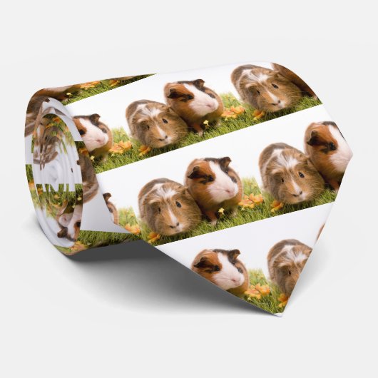 guinea pigs man hat lawn krawatte (Gerollt)