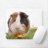 guinea pigs man hat lawn mousepad (Mit Mouse)