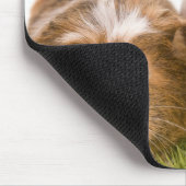 guinea pigs man hat lawn mousepad (Ecke)