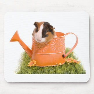 guinea pigs man hat lawn mousepad