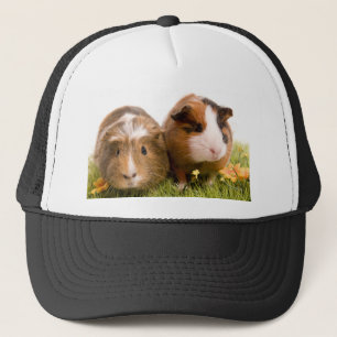 guinea pigs man hat lawn truckerkappe