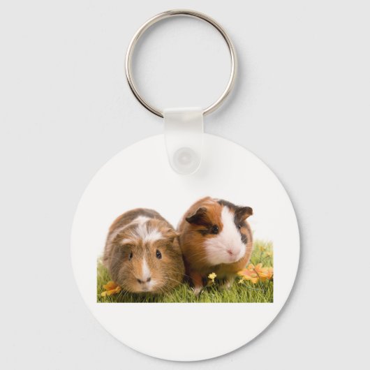 Guinea Pigs Schlüsselanhänger (Vorderseite)