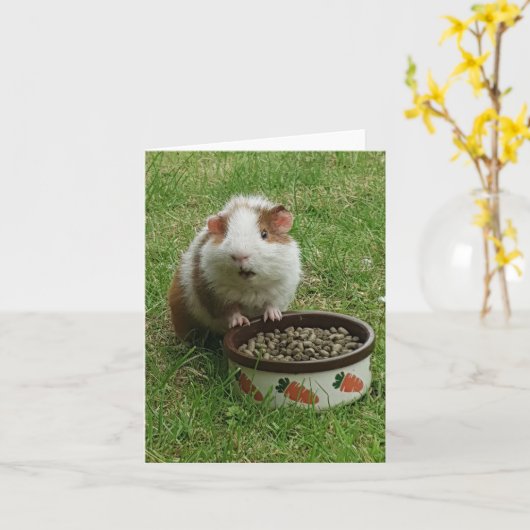 Guinea Ping Card Karte (Gelbe Blume)