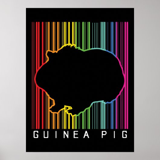 Guinea Poster (Vorne)