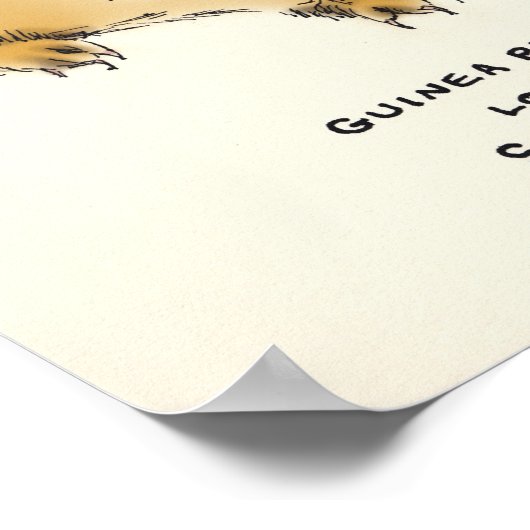 Guinea Poster (Ecke)