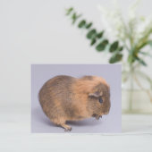 Guinea Postkarte (Stehend Vorderseite)