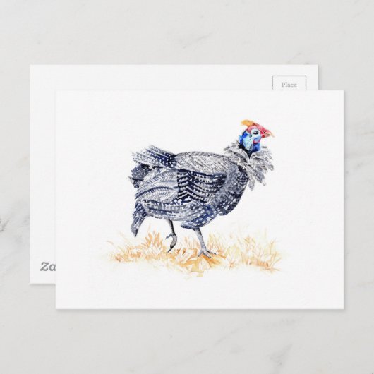 Guinea Postkarte (Vorne/Hinten)