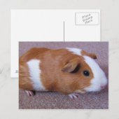 Guinea Postkarte (Vorne/Hinten)