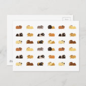 Guinea Postkarte (Vorne/Hinten)