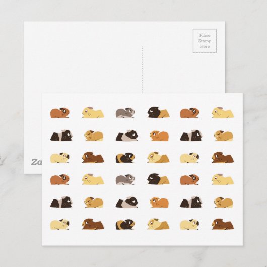 Guinea Postkarte (Vorne/Hinten)