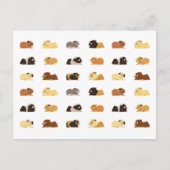 Guinea Postkarte (Vorderseite)