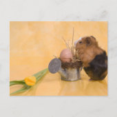 Guinea Postkarte (Vorderseite)