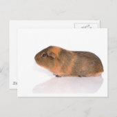 Guinea Postkarte (Vorne/Hinten)