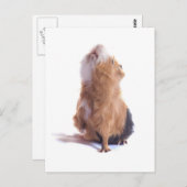 Guinea, Postkarte (Vorne/Hinten)