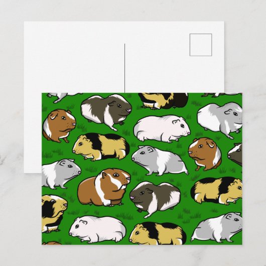 Guinea Postkarte (Vorne/Hinten)